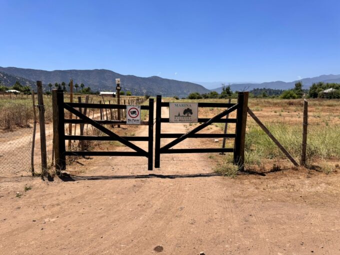 Se vende gran campo en Paine, sector Laguna de acúleo, son tres Hectáreas, Valor UF 2.714